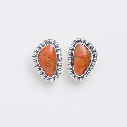 コーラルスポンジのシルバーイヤリング